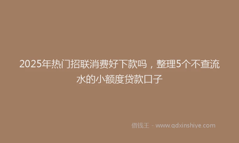 2025年热门招联消费好下款吗，整理5个不查流水的小额度贷款口子
