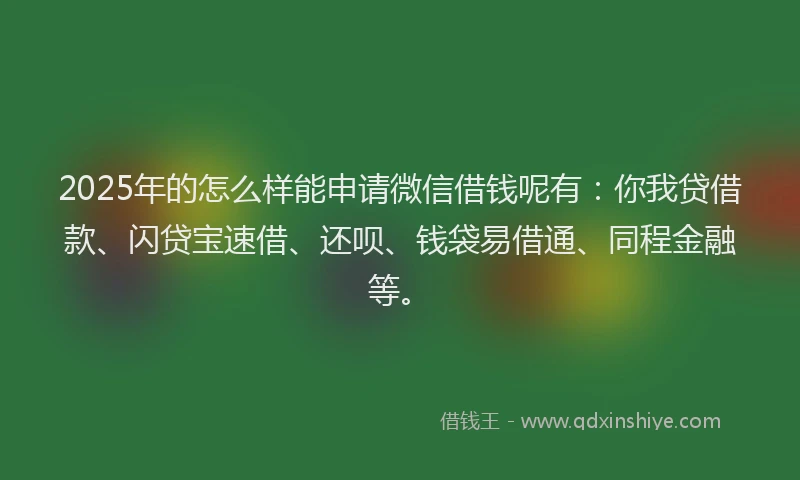 2025年的怎么样能申请微信借钱呢有：你我贷借款、闪贷宝速借、还呗、钱袋易借通、同程金融等。