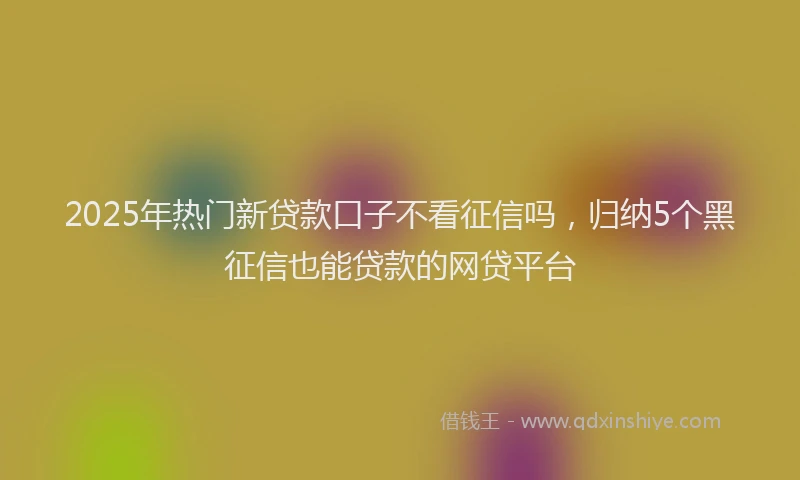 2025年热门新贷款口子不看征信吗，归纳5个黑征信也能贷款的网贷平台