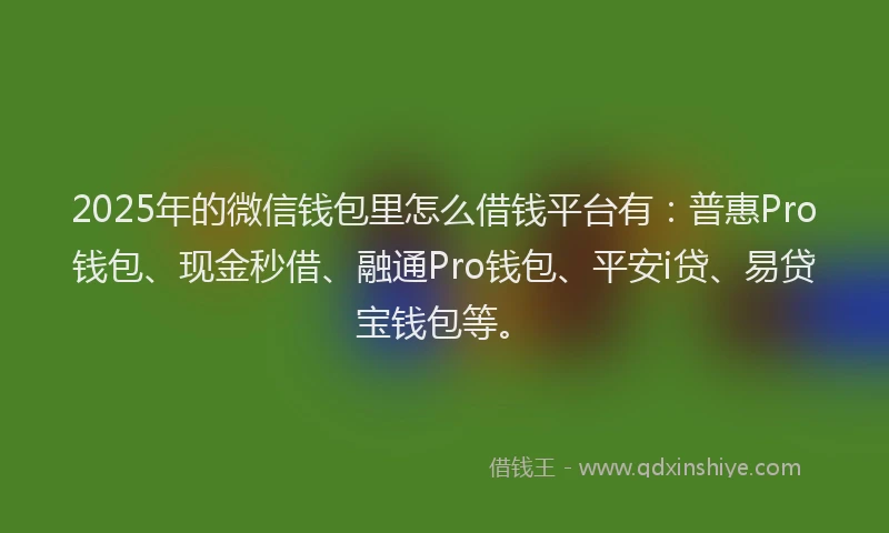 2025年的微信钱包里怎么借钱平台有：普惠Pro钱包、现金秒借、融通Pro钱包、平安i贷、易贷宝钱包等。