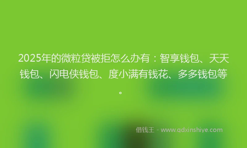 2025年的微粒贷被拒怎么办有：智享钱包、天天钱包、闪电侠钱包、度小满有钱花、多多钱包等。