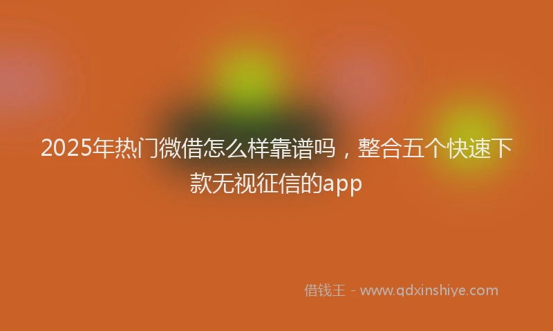 2025年热门微借怎么样靠谱吗，整合五个快速下款无视征信的app