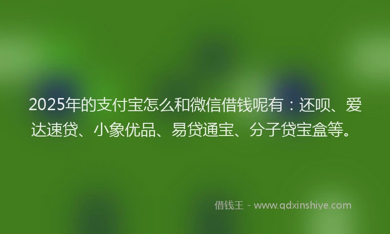 2025年的支付宝怎么和微信借钱呢有：还呗、爱达速贷、小象优品、易贷通宝、分子贷宝盒等。