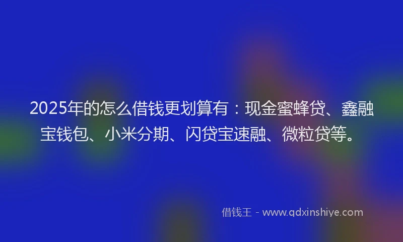 2025年的怎么借钱更划算有：现金蜜蜂贷、鑫融宝钱包、小米分期、闪贷宝速融、微粒贷等。