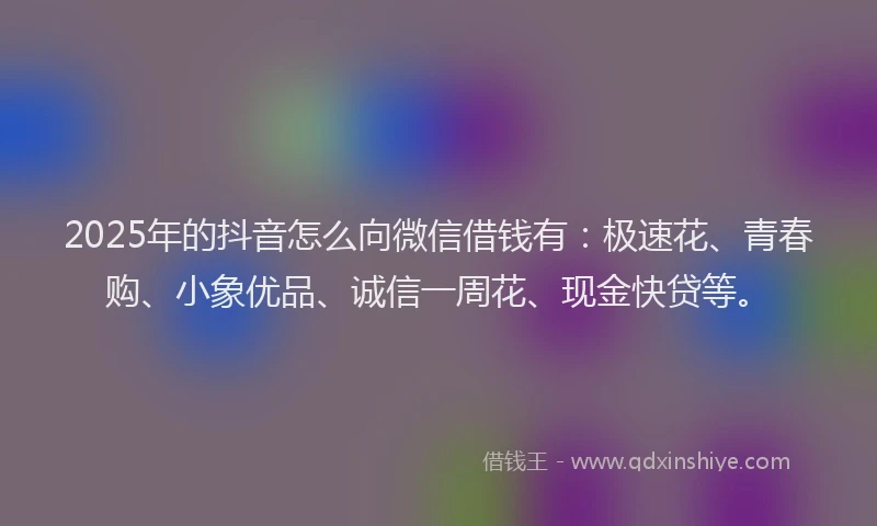 2025年的抖音怎么向微信借钱有：极速花、青春购、小象优品、诚信一周花、现金快贷等。