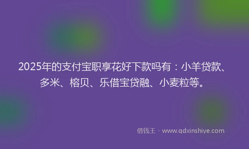 2025年的支付宝职享花好下款吗有：小羊贷款、多米、榕贝、乐借宝贷融、小麦粒等。