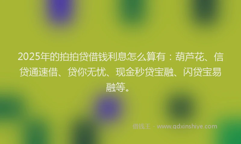2025年的拍拍贷借钱利息怎么算有：葫芦花、信贷通速借、贷你无忧、现金秒贷宝融、闪贷宝易融等。
