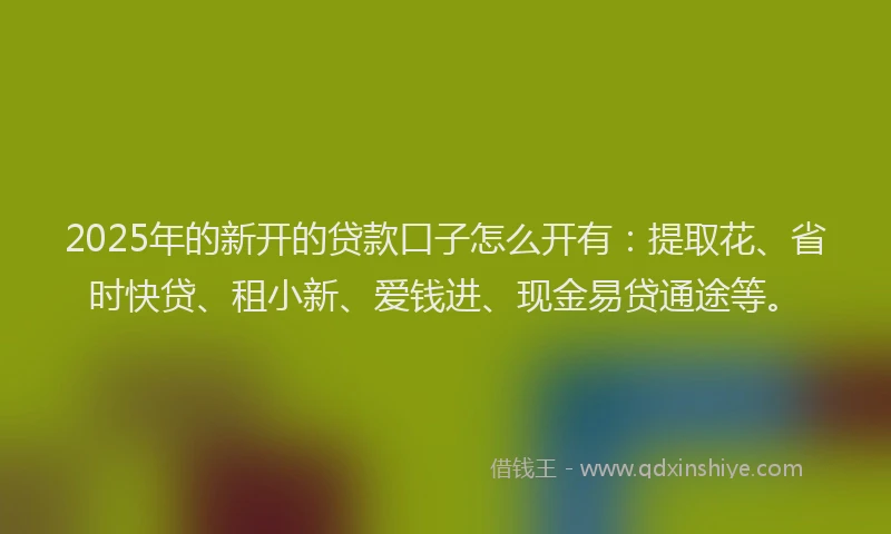 2025年的新开的贷款口子怎么开有：提取花、省时快贷、租小新、爱钱进、现金易贷通途等。