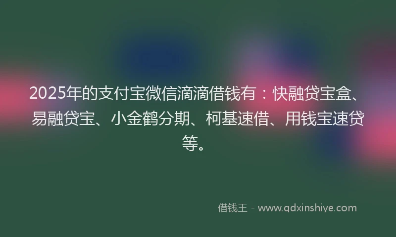 2025年的支付宝微信滴滴借钱有：快融贷宝盒、易融贷宝、小金鹤分期、柯基速借、用钱宝速贷等。