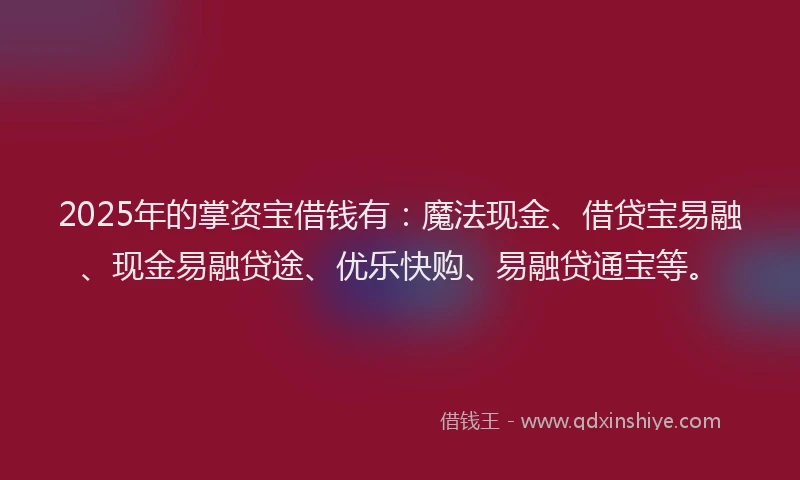 2025年的掌资宝借钱有：魔法现金、借贷宝易融、现金易融贷途、优乐快购、易融贷通宝等。