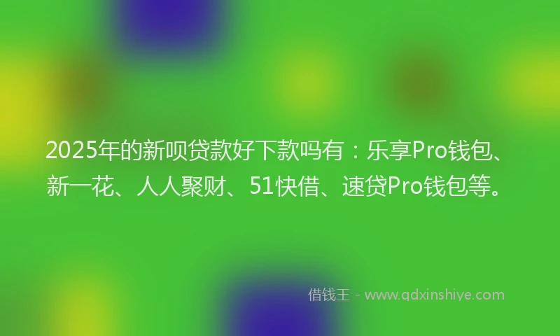 2025年的新呗贷款好下款吗有：乐享Pro钱包、新一花、人人聚财、51快借、速贷Pro钱包等。