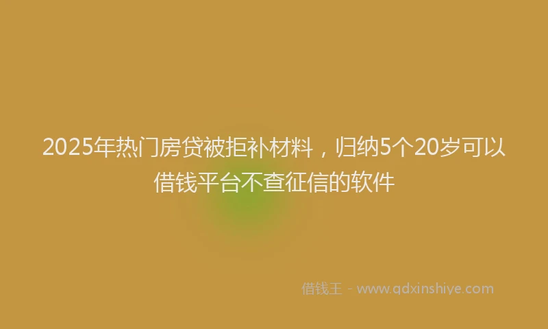 2025年热门房贷被拒补材料，归纳5个20岁可以借钱平台不查征信的软件