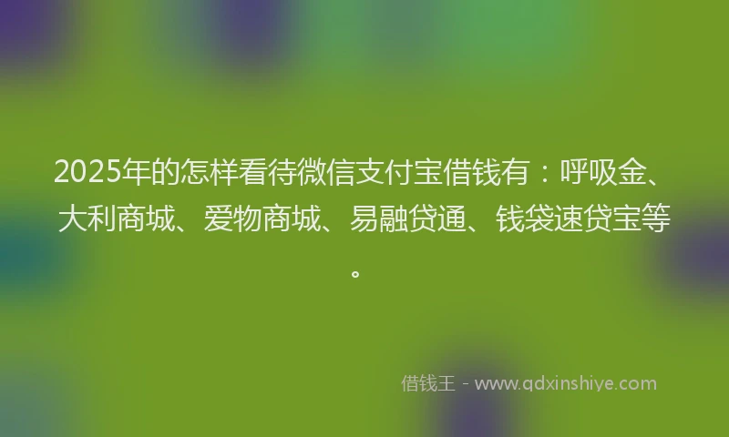 2025年的怎样看待微信支付宝借钱有：呼吸金、大利商城、爱物商城、易融贷通、钱袋速贷宝等。