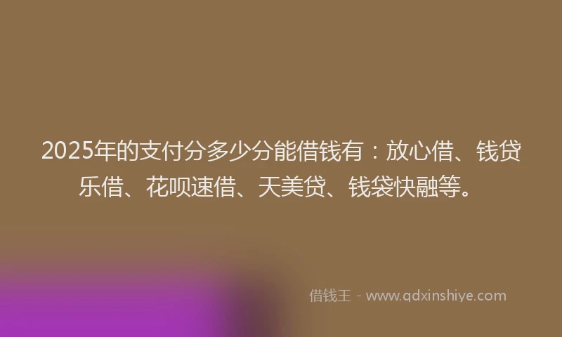 2025年的支付分多少分能借钱有：放心借、钱贷乐借、花呗速借、天美贷、钱袋快融等。