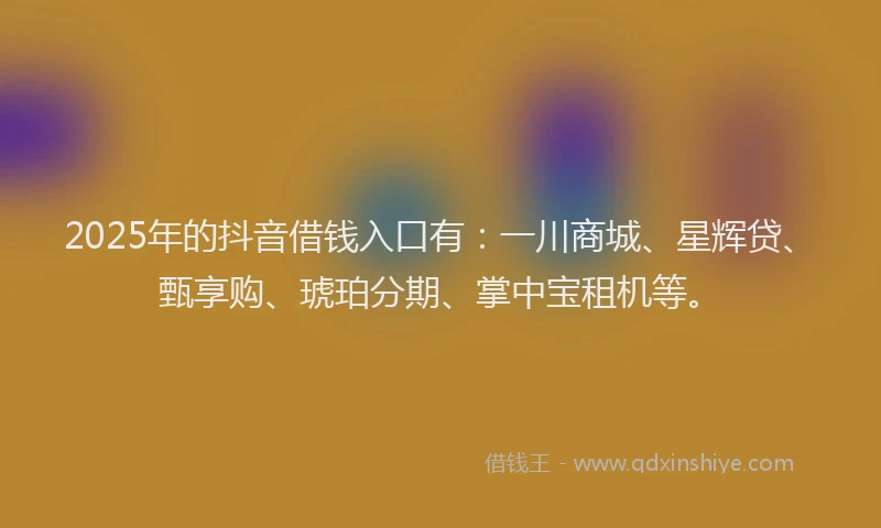 2025年的抖音借钱入口有：一川商城、星辉贷、甄享购、琥珀分期、掌中宝租机等。