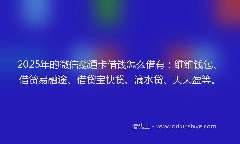 2025年的微信鹅通卡借钱怎么借有：维维钱包、借贷易融途、借贷宝快贷、滴水贷、天天盈等。