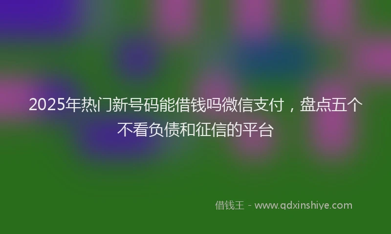2025年热门新号码能借钱吗微信支付，盘点五个不看负债和征信的平台