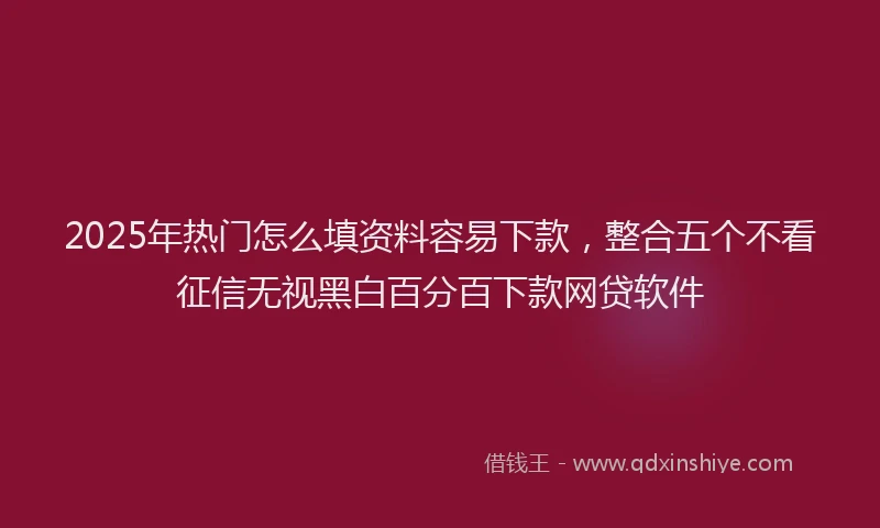 2025年热门怎么填资料容易下款，整合五个不看征信无视黑白百分百下款网贷软件