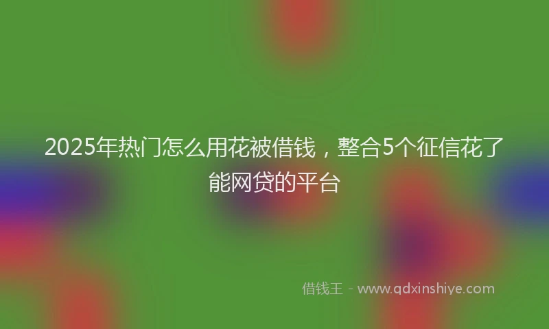 2025年热门怎么用花被借钱，整合5个征信花了能网贷的平台