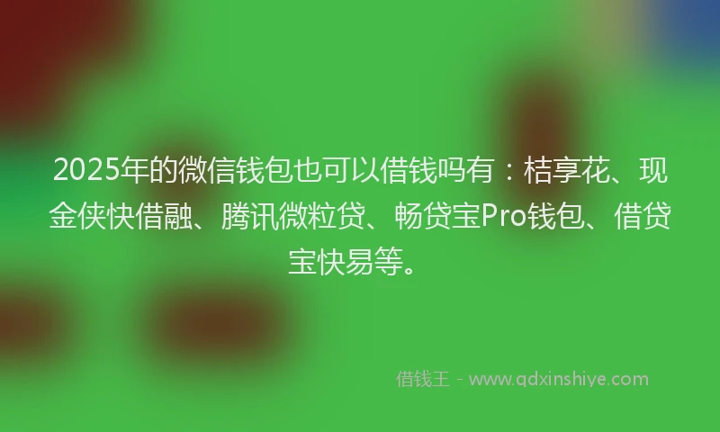 2025年的微信钱包也可以借钱吗有：桔享花、现金侠快借融、腾讯微粒贷、畅贷宝Pro钱包、借贷宝快易等。