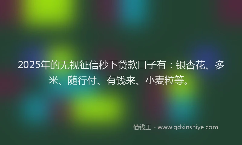 2025年的无视征信秒下贷款口子有：银杏花、多米、随行付、有钱来、小麦粒等。