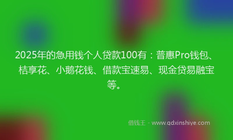 2025年的急用钱个人贷款100有：普惠Pro钱包、桔享花、小鹅花钱、借款宝速易、现金贷易融宝等。