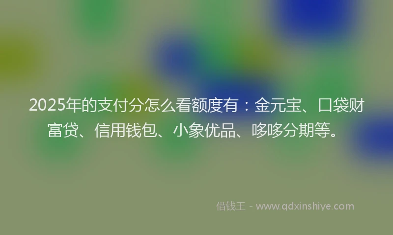 2025年的支付分怎么看额度有：金元宝、口袋财富贷、信用钱包、小象优品、哆哆分期等。
