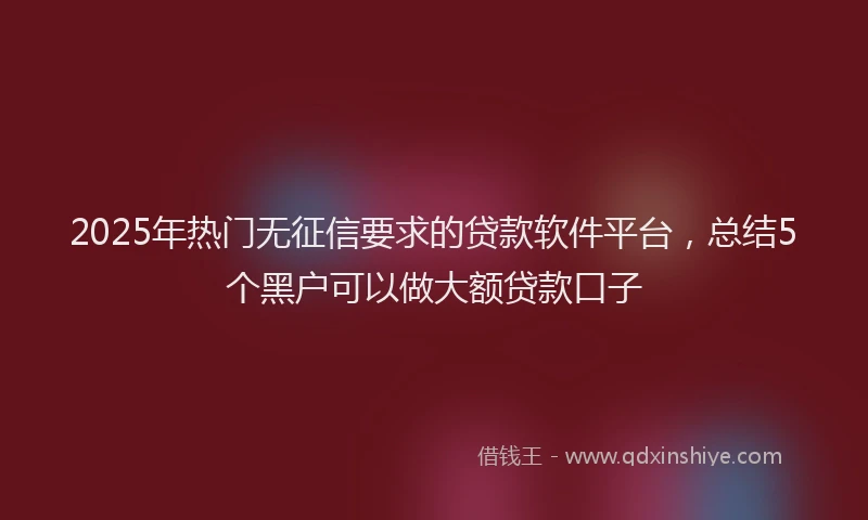 2025年热门无征信要求的贷款软件平台，总结5个黑户可以做大额贷款口子