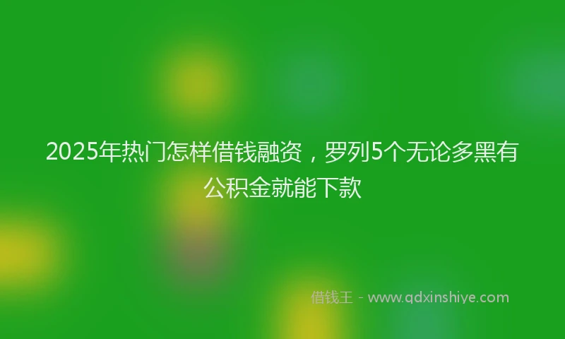 2025年热门怎样借钱融资，罗列5个无论多黑有公积金就能下款