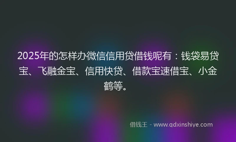 2025年的怎样办微信信用贷借钱呢有：钱袋易贷宝、飞融金宝、信用快贷、借款宝速借宝、小金鹤等。
