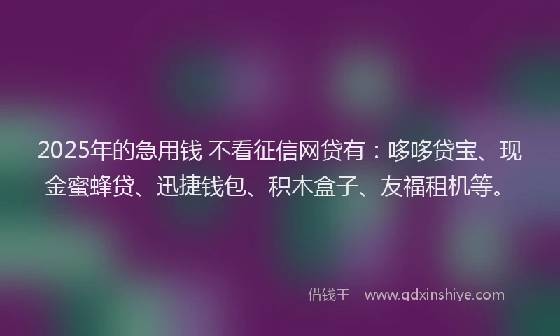 2025年的急用钱 不看征信网贷有：哆哆贷宝、现金蜜蜂贷、迅捷钱包、积木盒子、友福租机等。