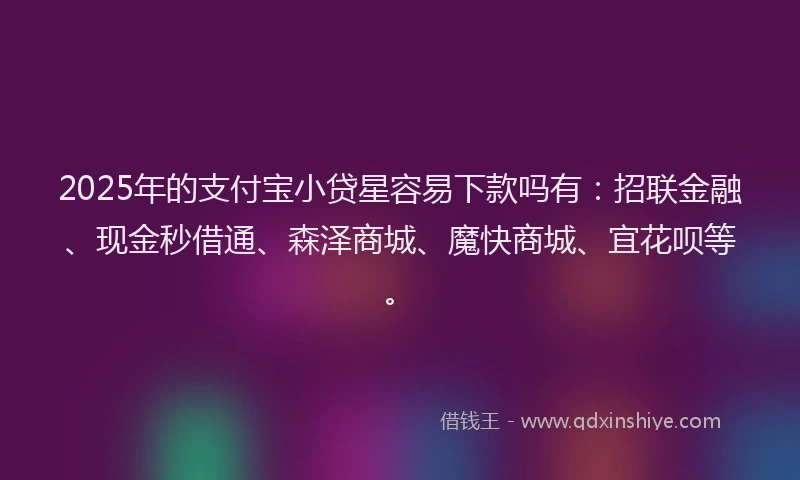 2025年的支付宝小贷星容易下款吗有：招联金融、现金秒借通、森泽商城、魔快商城、宜花呗等。