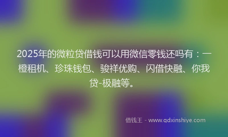 2025年的微粒贷借钱可以用微信零钱还吗有：一橙租机、珍珠钱包、骏祥优购、闪借快融、你我贷-极融等。