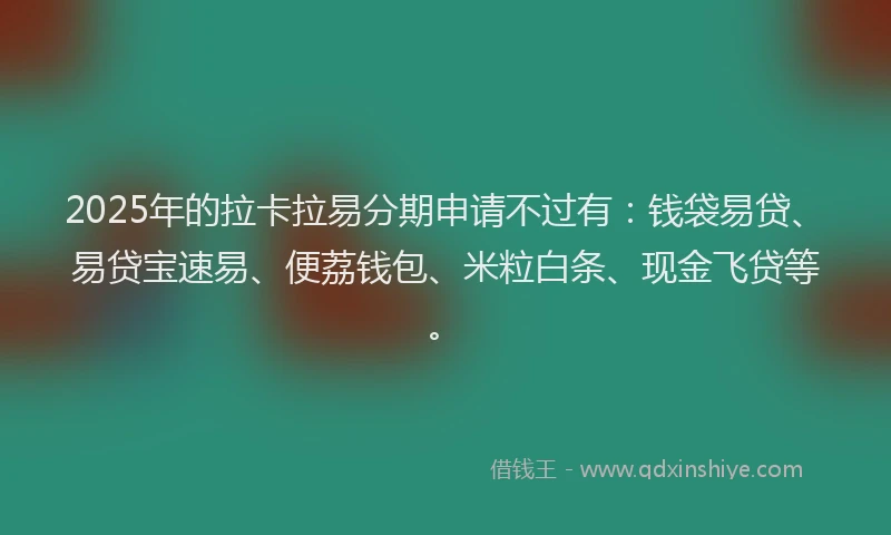 2025年的拉卡拉易分期申请不过有：钱袋易贷、易贷宝速易、便荔钱包、米粒白条、现金飞贷等。