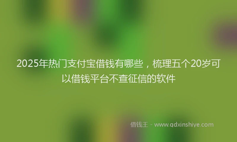 2025年热门支付宝借钱有哪些，梳理五个20岁可以借钱平台不查征信的软件