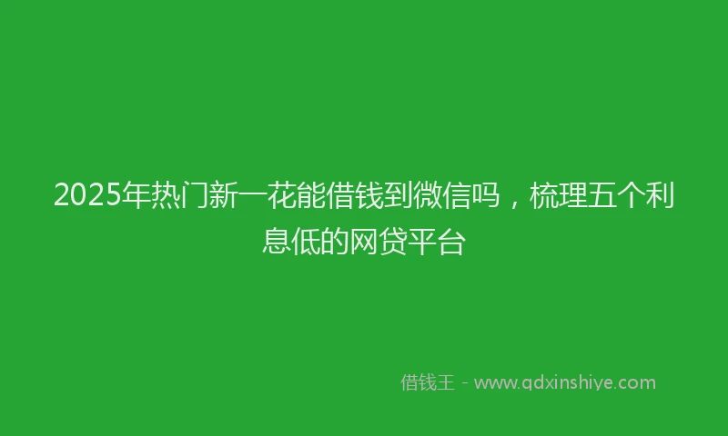 2025年热门新一花能借钱到微信吗，梳理五个利息低的网贷平台