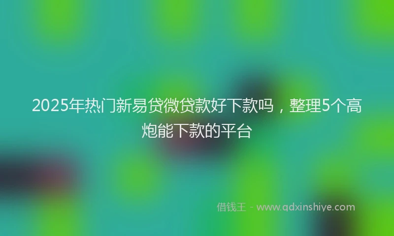 2025年热门新易贷微贷款好下款吗，整理5个高炮能下款的平台