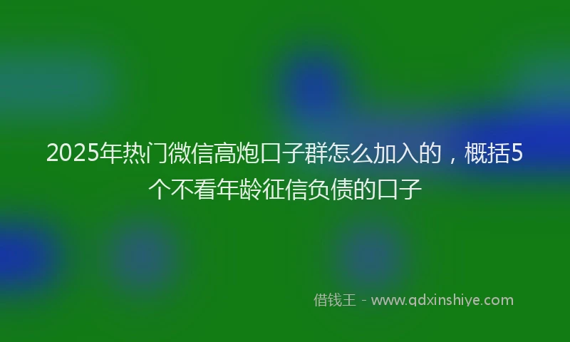 2025年热门微信高炮口子群怎么加入的，概括5个不看年龄征信负债的口子