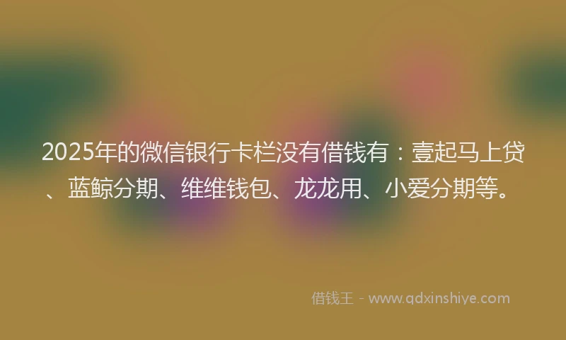 2025年的微信银行卡栏没有借钱有：壹起马上贷、蓝鲸分期、维维钱包、龙龙用、小爱分期等。