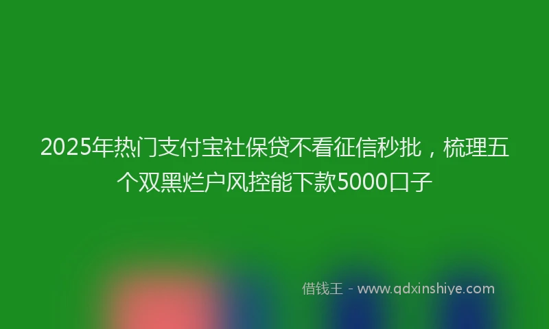 2025年热门支付宝社保贷不看征信秒批，梳理五个双黑烂户风控能下款5000口子