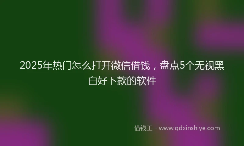 2025年热门怎么打开微信借钱，盘点5个无视黑白好下款的软件