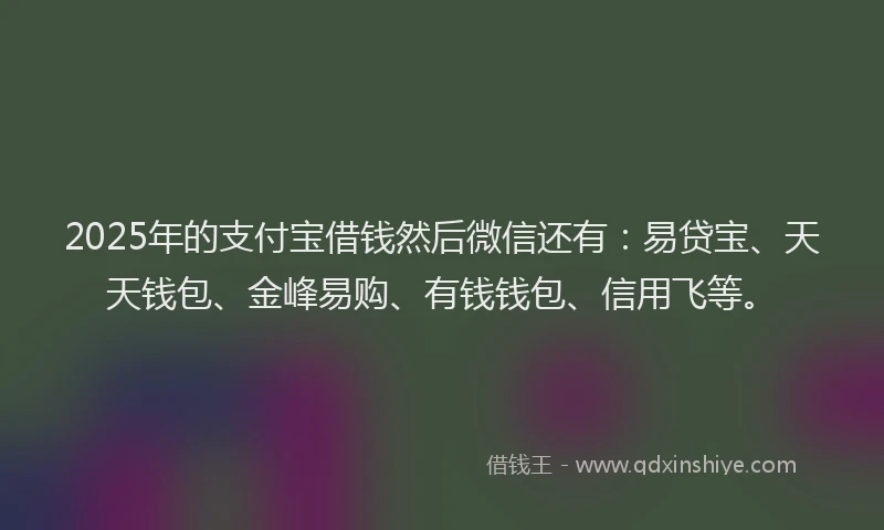 2025年的支付宝借钱然后微信还有：易贷宝、天天钱包、金峰易购、有钱钱包、信用飞等。