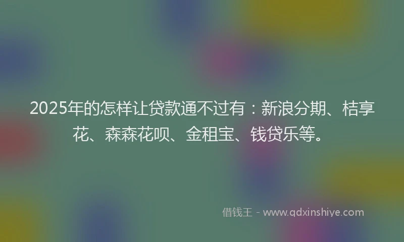 2025年的怎样让贷款通不过有：新浪分期、桔享花、森森花呗、金租宝、钱贷乐等。
