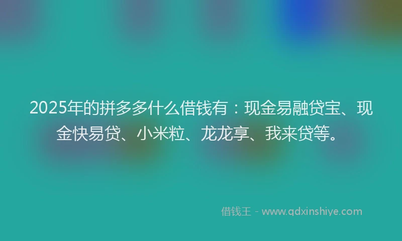 2025年的拼多多什么借钱有：现金易融贷宝、现金快易贷、小米粒、龙龙享、我来贷等。