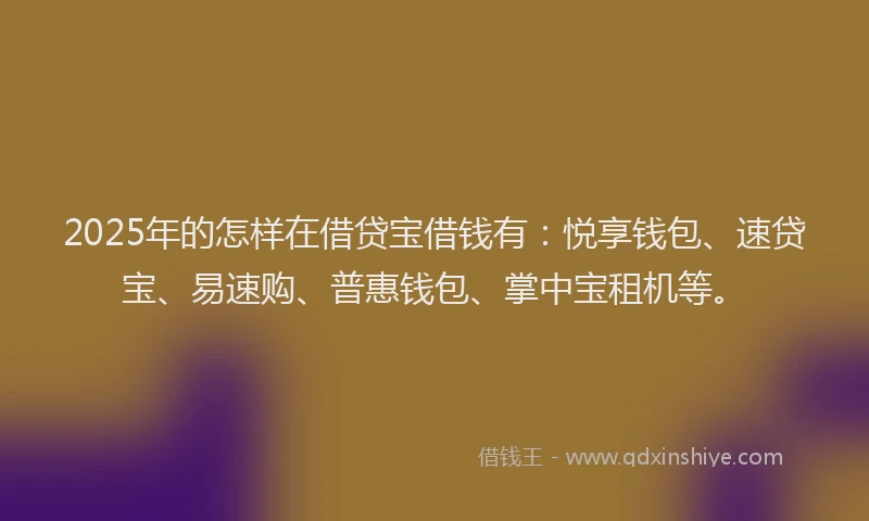 2025年的怎样在借贷宝借钱有：悦享钱包、速贷宝、易速购、普惠钱包、掌中宝租机等。