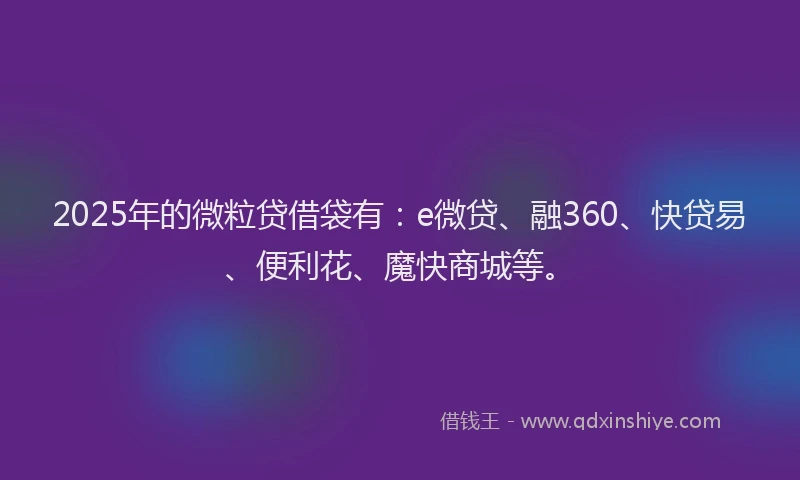 2025年的微粒贷借袋有：e微贷、融360、快贷易、便利花、魔快商城等。