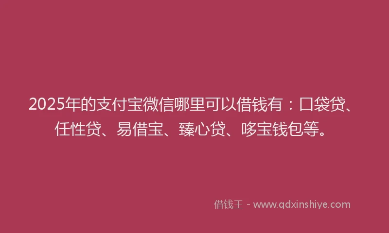 2025年的支付宝微信哪里可以借钱有：口袋贷、任性贷、易借宝、臻心贷、哆宝钱包等。