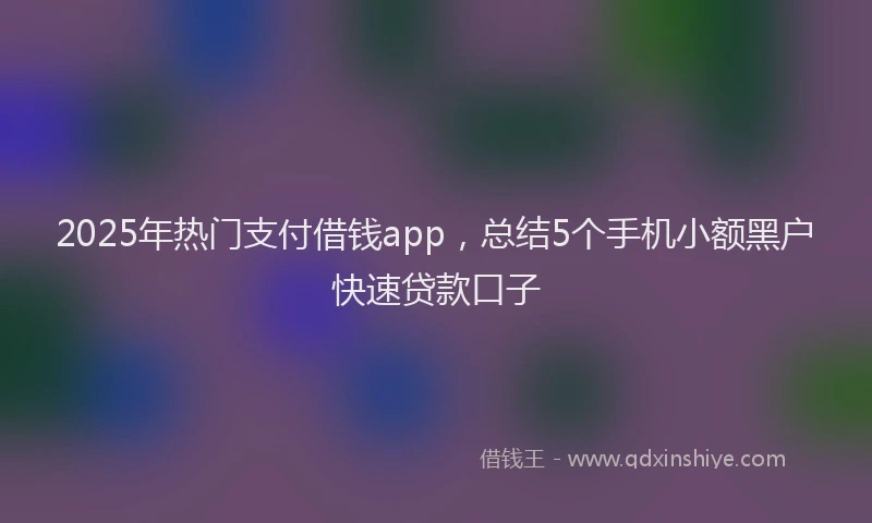2025年热门支付借钱app，总结5个手机小额黑户快速贷款口子