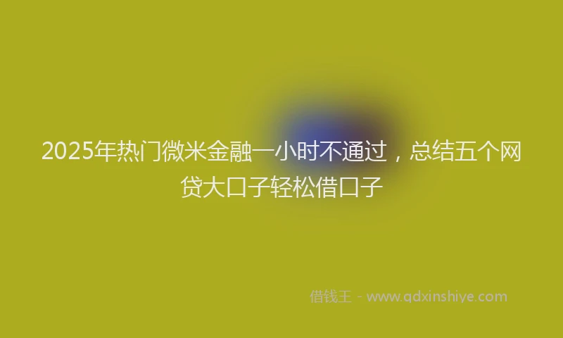 2025年热门微米金融一小时不通过，总结五个网贷大口子轻松借口子