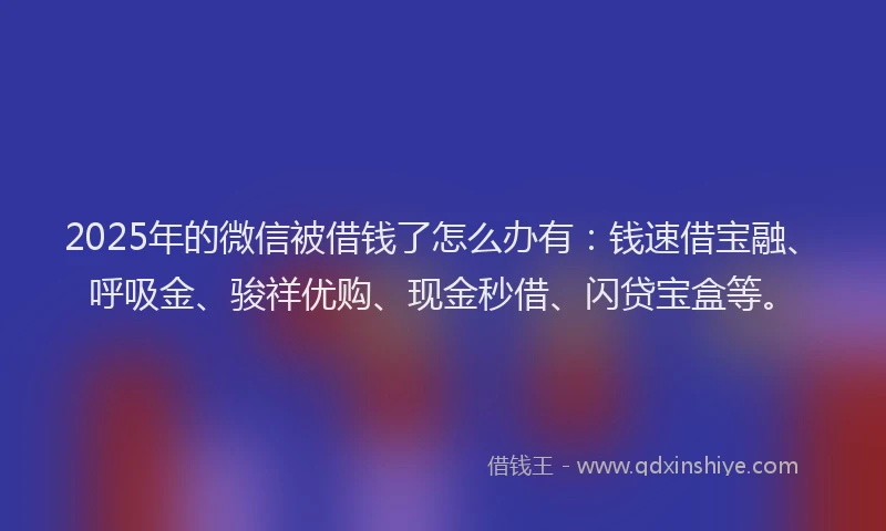 2025年的微信被借钱了怎么办有：钱速借宝融、呼吸金、骏祥优购、现金秒借、闪贷宝盒等。